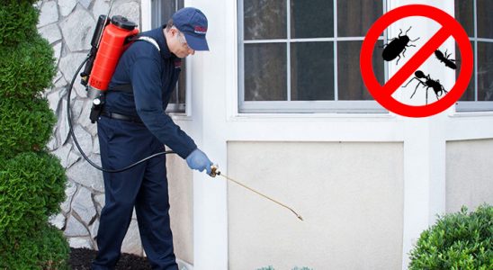 Seydikemer Hamam Böceği İlaçlama böcek ilaçlama ve haşere kontrolü — ilaclama-tr.com